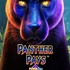 Panther Pays Power Play Jackpot screenshot